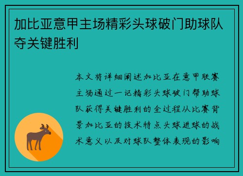 加比亚意甲主场精彩头球破门助球队夺关键胜利 加比亚意甲主场精彩头球破门助球队夺关键胜利